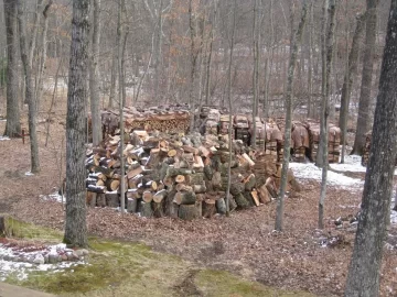 [Hearth.com] Got started splitting today...