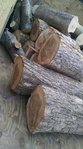 [Hearth.com] wood ID.  elm????