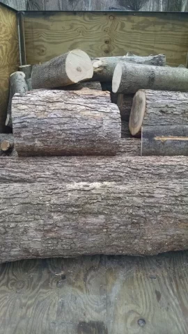 [Hearth.com] wood ID.  elm????
