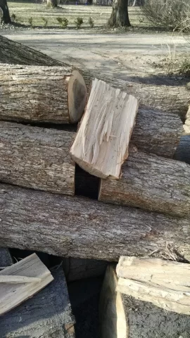 [Hearth.com] wood ID.  elm????