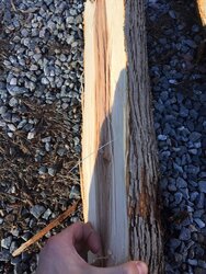 My I-95 wood scrounge. ID help please.