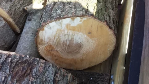 [Hearth.com] ID Please, 2 trailer loads.