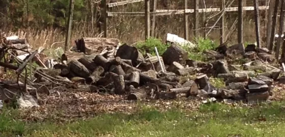 [Hearth.com] Found a pile of free oak