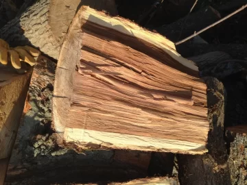[Hearth.com] Wood ID - Ash?
