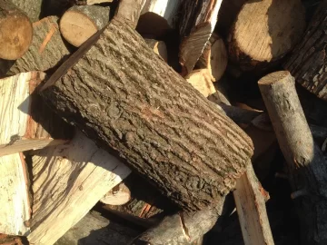 [Hearth.com] Wood ID - Ash?