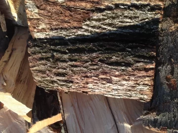 [Hearth.com] Wood ID - Ash?