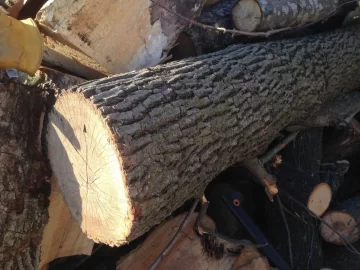[Hearth.com] Wood ID - Ash?