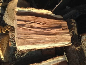 [Hearth.com] Wood ID - Ash?