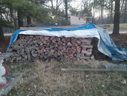My woodshed project