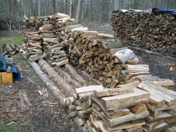 [Hearth.com] Got started splitting today...