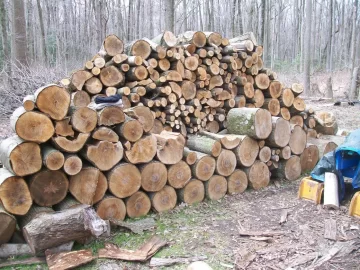 [Hearth.com] Got started splitting today...