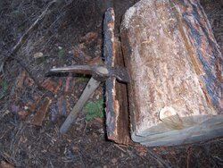 Ponderosa Pine bark chipping tool