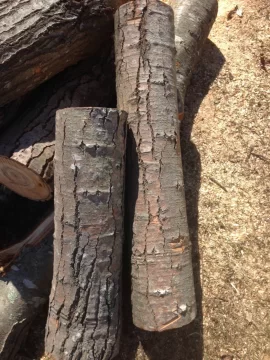 [Hearth.com] CT Wood ID