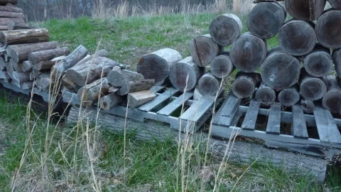 [Hearth.com] Old pallet disposal