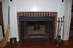 Need a small fireplace insert - Enviro Meridian or Napoleon NP145?