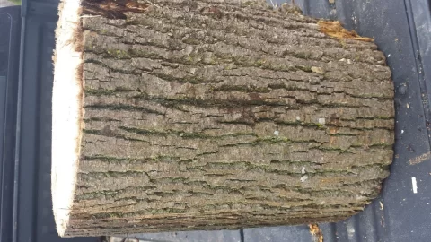 [Hearth.com] Another wood ID