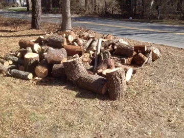 [Hearth.com] Free Pine in Dennis, MA