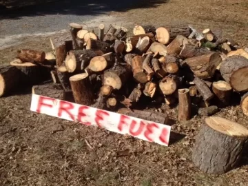 [Hearth.com] Free Pine in Dennis, MA