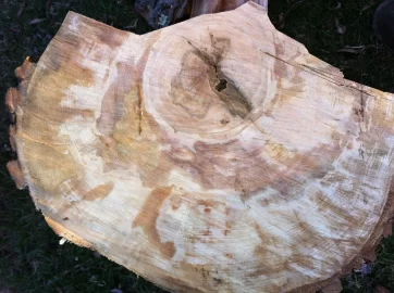 [Hearth.com] Wood ID