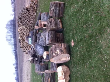 [Hearth.com] Wood ID
