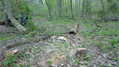 [Hearth.com] Time to hit the woods  , need 10 cord next year