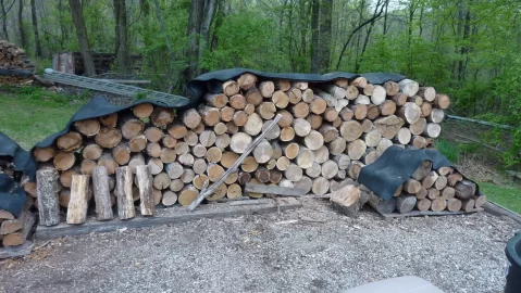 [Hearth.com] Time to hit the woods  , need 10 cord next year
