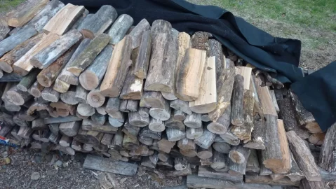 [Hearth.com] Time to hit the woods  , need 10 cord next year