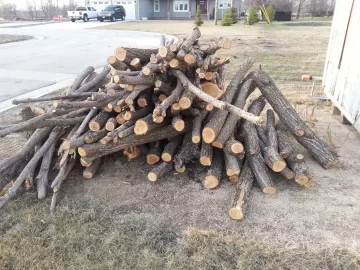 [Hearth.com] Question about Willow... Is it worth it?