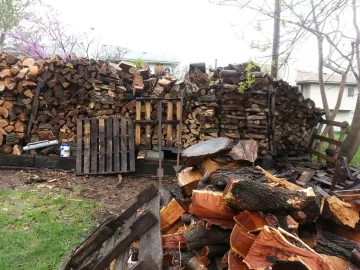 [Hearth.com] Backyard update