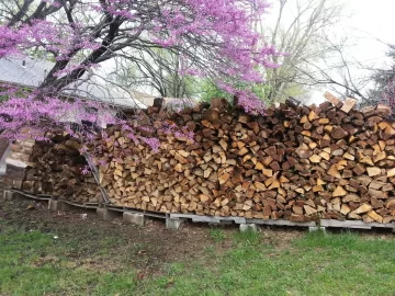 [Hearth.com] Backyard update