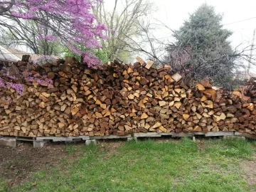[Hearth.com] Backyard update