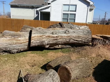 [Hearth.com] Backyard update