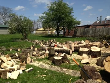 [Hearth.com] Wood score at work!