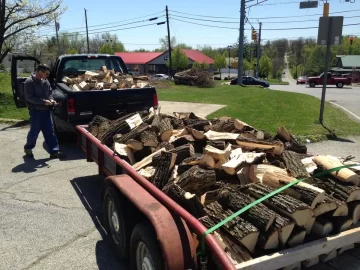 [Hearth.com] Wood score at work!