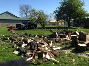 [Hearth.com] Wood score at work!