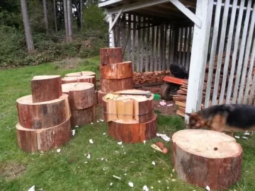 [Hearth.com] Got some fir logs to split....