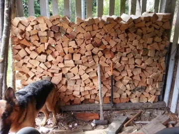 [Hearth.com] Got some fir logs to split....