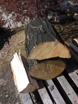 [Hearth.com] Wood ID NJ