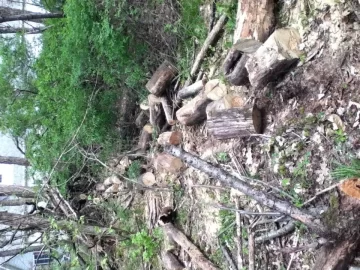 [Hearth.com] Black Locust Heaven!! (pics)