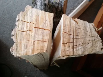[Hearth.com] Downed Cottonwood