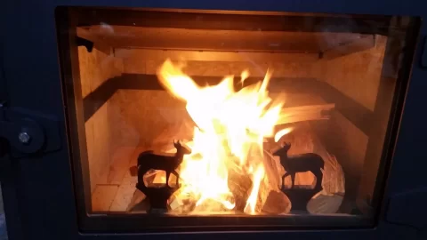 [Hearth.com] Pulled Trigger On Ideal Steel Hybrid