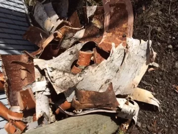 [Hearth.com] Got some fir logs to split....