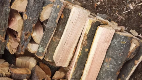 [Hearth.com] Wood ID