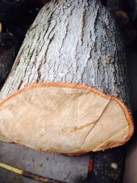 [Hearth.com] wood ID help please