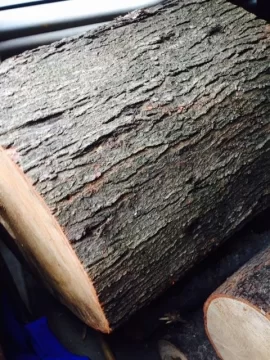 [Hearth.com] wood ID help please