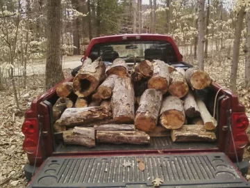 [Hearth.com] Today's Haul