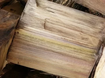 [Hearth.com] wood species