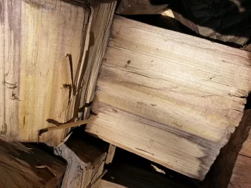 [Hearth.com] wood species
