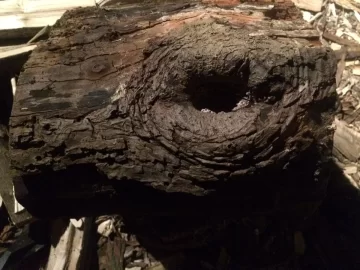 [Hearth.com] ID This Wood