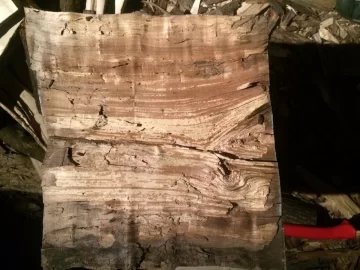[Hearth.com] ID This Wood